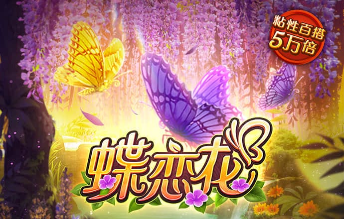 k体育官网下载